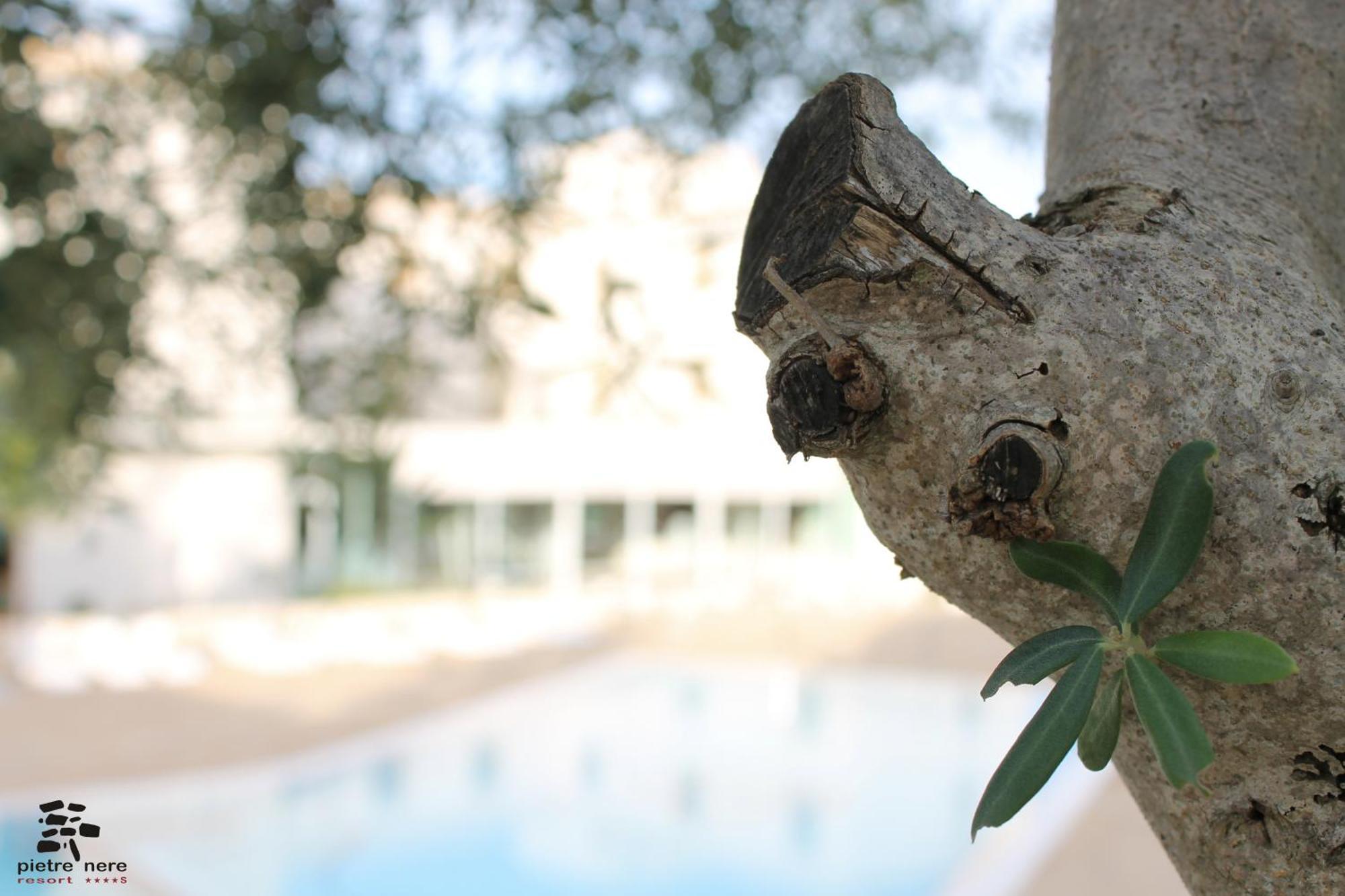 Pietre Nere Resort&Spa Modica Extérieur photo